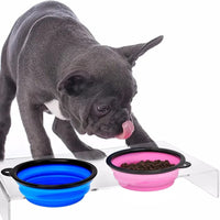 Folding Portable Silicone Dog Feeder Bowl 2 In 1 Pet Dispenser Outdoor